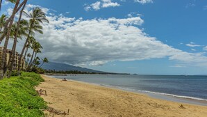 A beach with palm trees, a sandy shore, and a clear blue sky. - Ma'alaea Surf #G-2 – Relaxing Ground-Floor Getaway (Kihei, Maui)