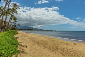 Une plage bordée de palmiers, une étendue de sable et un ciel bleu azur.