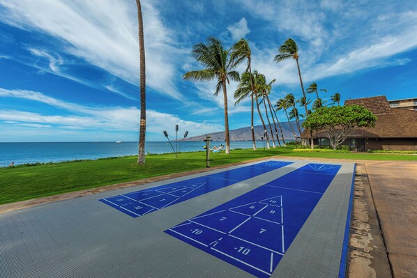 Un terrain de jeu de shuffleboard offrant une vue dégagée sur l’océan et les palmiers en arrière-plan.