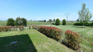 A grassy field with a hedge, a tree, and a power line tower in the distance. - Garda & Golf Apartment (Pozzolengo)