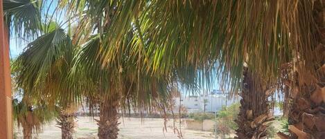 Àrea exterior de l'allotjament