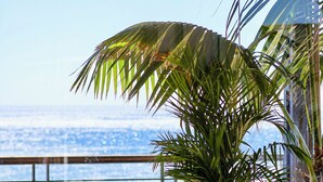 Una terraza con mesas y sillas, una planta grande en maceta y vista al océano.