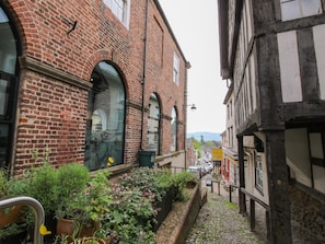 Property grounds - The Larches (Bishops Castle)