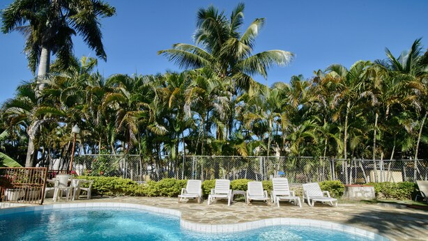 Une piscine avec des chaises longues et des palmiers.