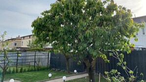 A tree-lined backyard with a wooden fence, a pathway, and a small garden area. - Modernes Reihenhaus mit Garten (Magdeburg)
