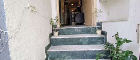 Un escalier extérieur menant à une porte, avec des plantes en pot disposées sur les marches.