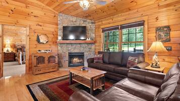 Smart TV, chimenea y libros