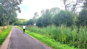 Miscellaneous - Gite Typique Alsacien 3 Chambres (Achenheim)