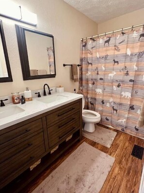 Hair dryer, towels, soap, shampoo