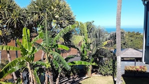 Un jardín exuberante con diversas plantas tropicales y vistas al océano.