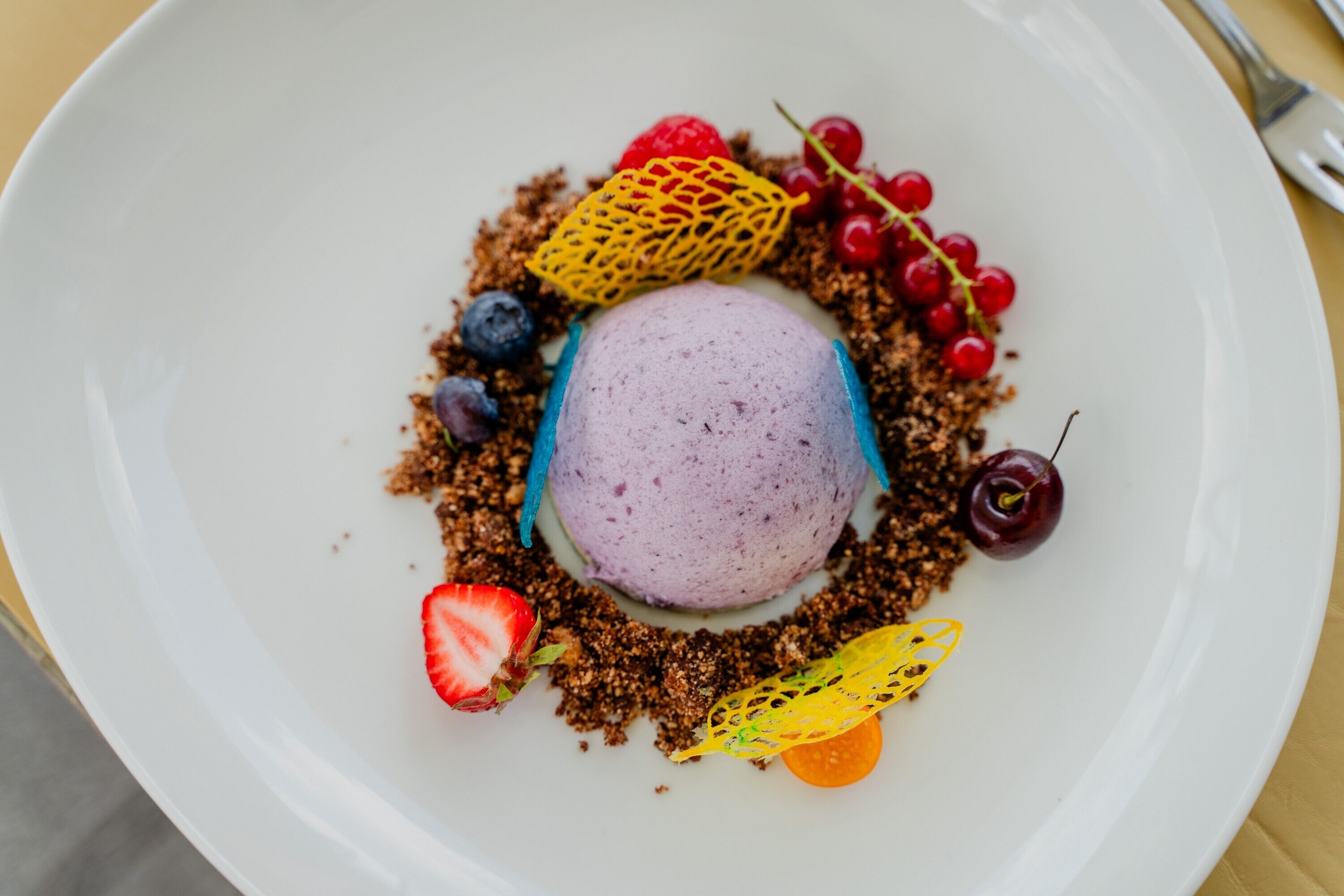 Dessert auf einem Teller mit Beeren und einem durch Netz gesicherten Gegenstand.
