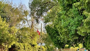 Une jetée en bois s’étendant sur une étendue d’eau calme, entourée d’une végétation luxuriante et surmontée d’un mât portant un drapeau.