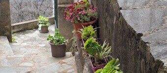 Appartement au Pied du San Petrone, en Plein Cœur de la Castagniccia