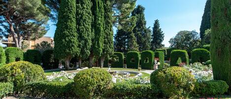 Terrein van de accommodatie