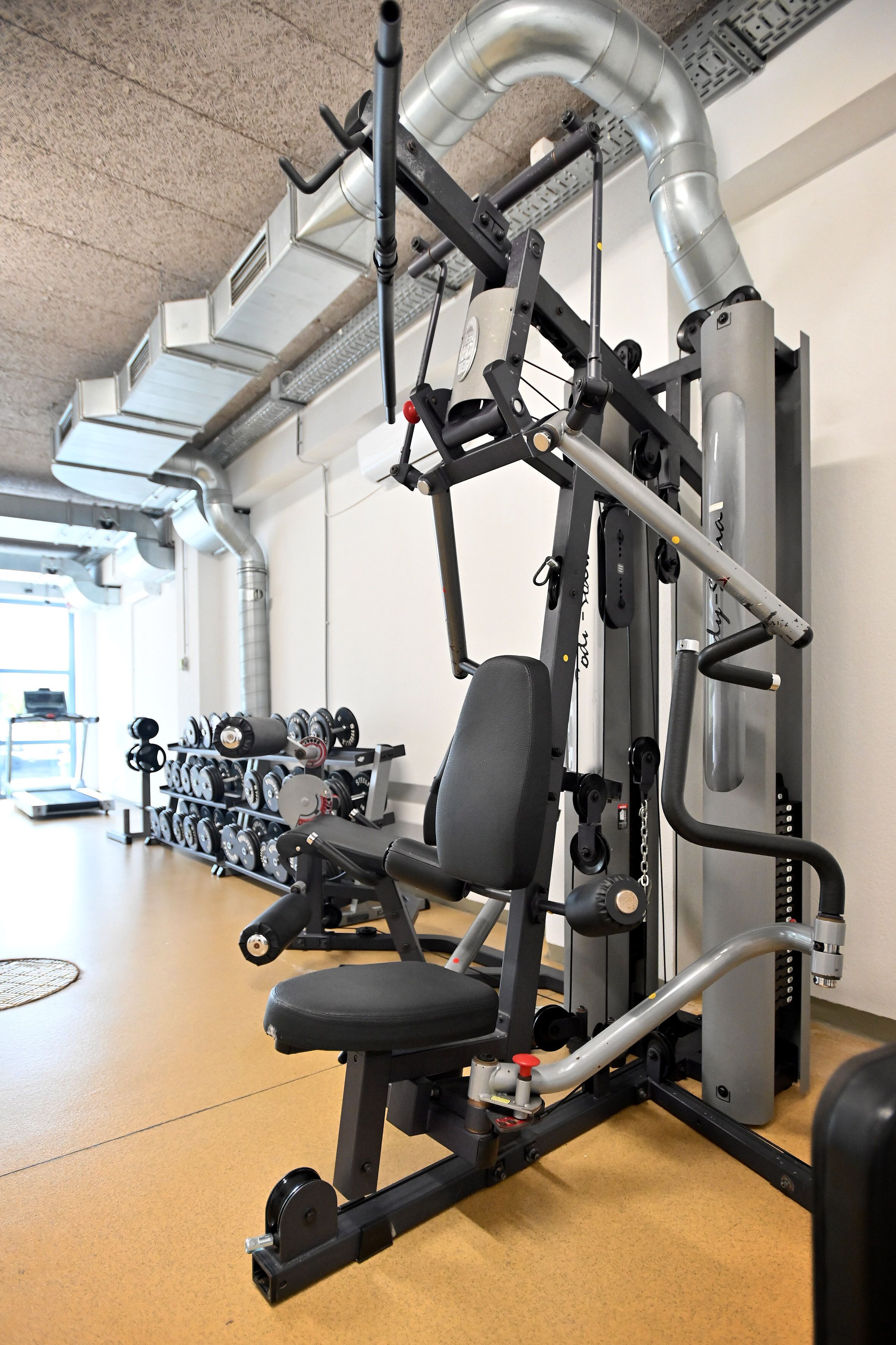 Un gimnasio con máquinas de pesas, mancuernas y una cinta de correr.