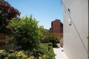 A courtyard with a white wall, a wooden fence, and various plants and shrubs.