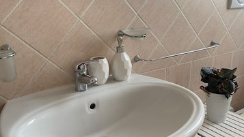 Hair dryer, bidet, towels, soap