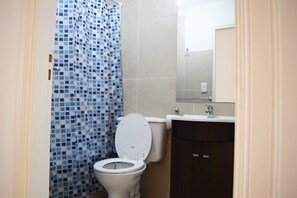 A bathroom with a tiled shower, a white toilet, a sink, and a mirror.