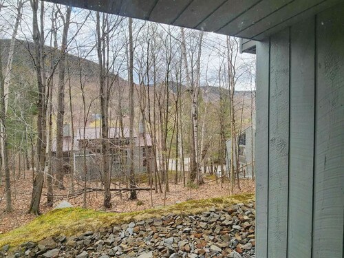 2 Bed/2Bath White Mtn treetop Townhome across from Loon w views,
pool & shuttle