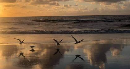 Largest 1 Bed 2 bath in Amelia Surf & Racquet Club