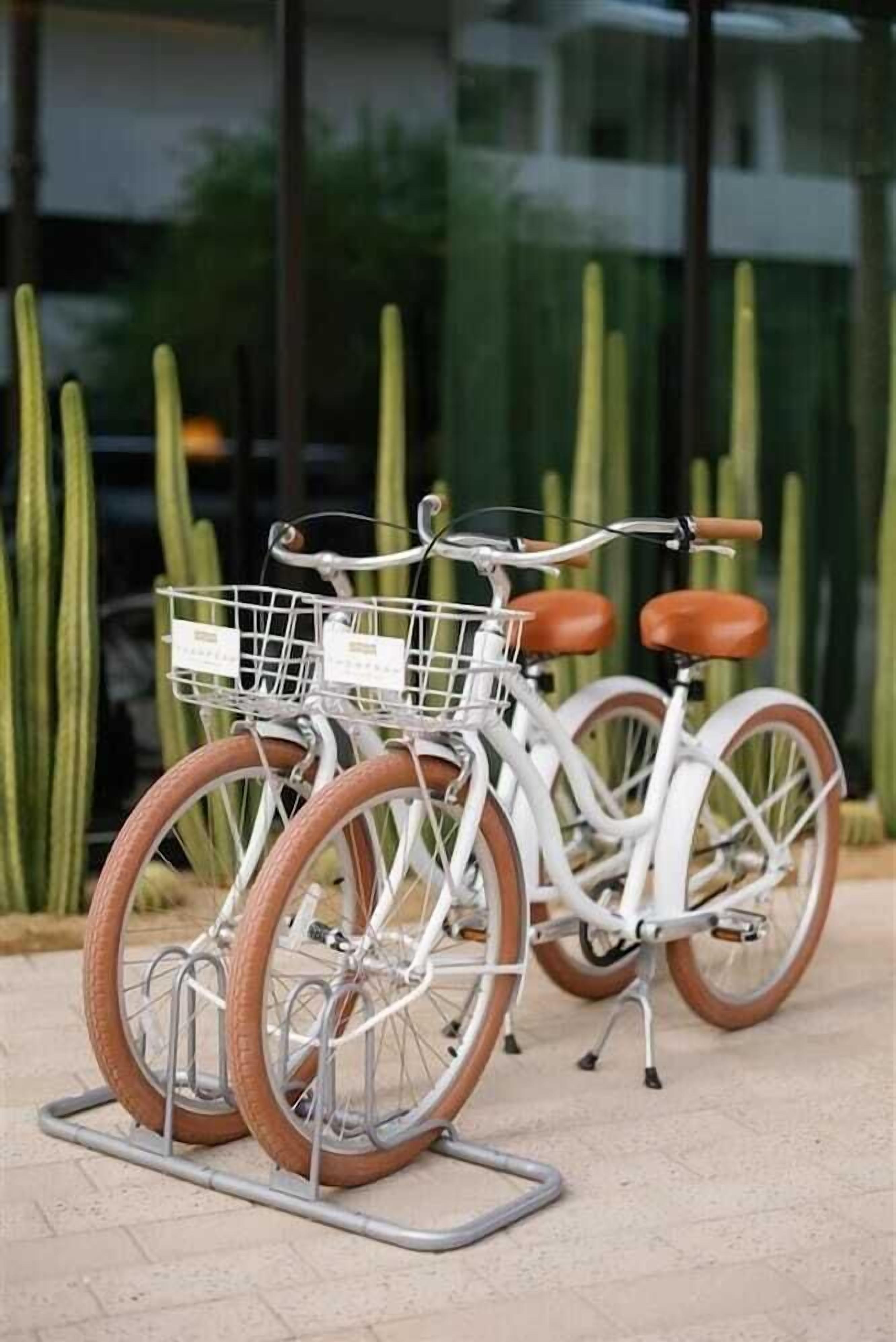 Two bicycles with baskets, mounted on a stand, in front of a building with glass windows and cacti in the background.