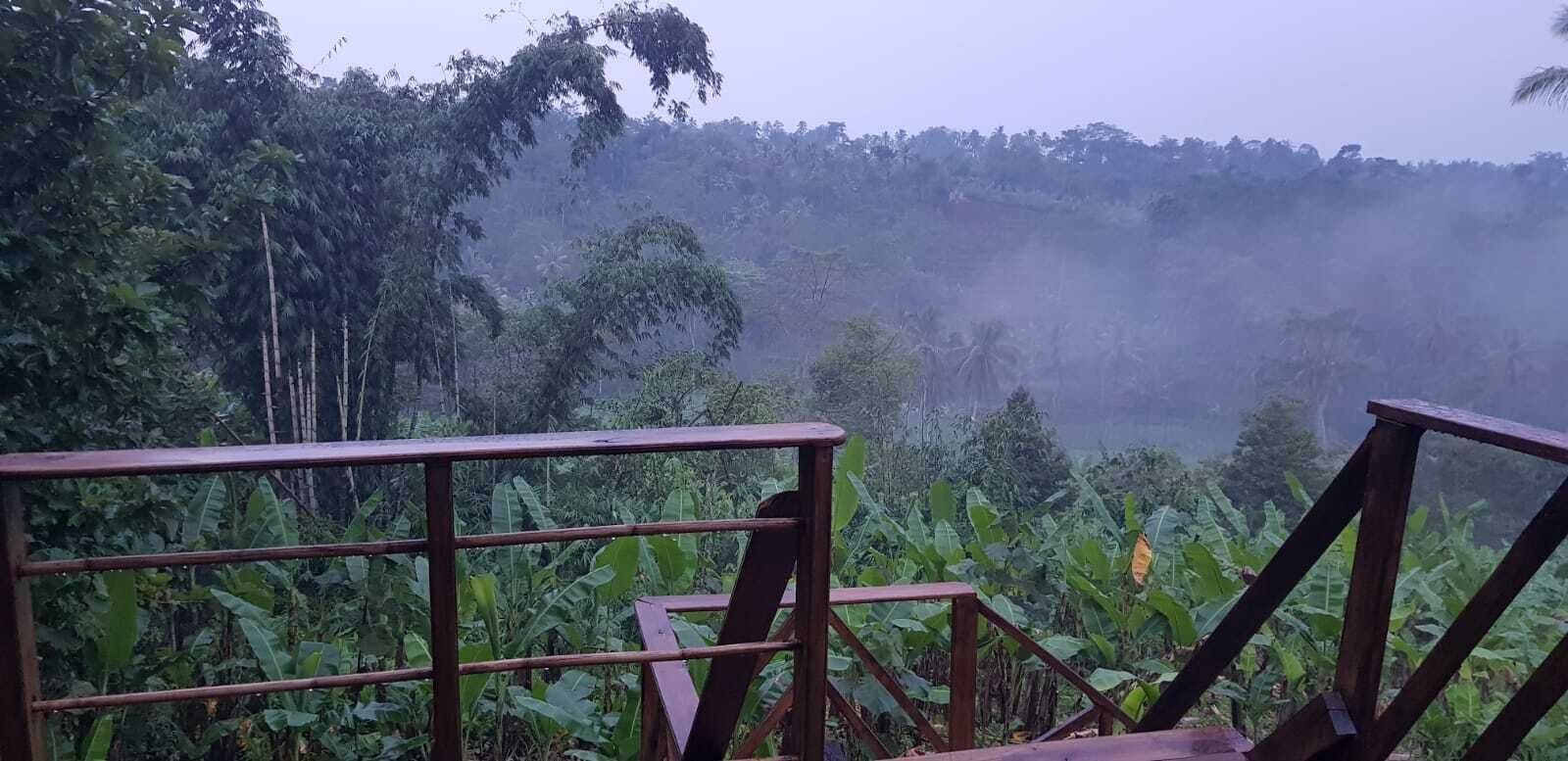 A wooden deck with metal railings overlooking a lush, misty forested area.