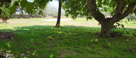 Overnattingsstedets uteområder