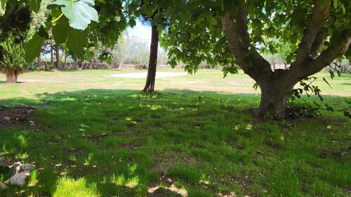 Double room with 1 double bed or 2 single beds