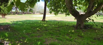 Double room with 1 double bed or 2 single beds