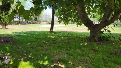 Double room with 1 double bed or 2 single beds