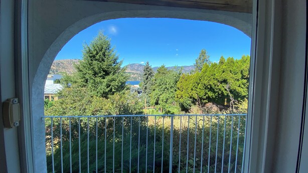 A view through a window with a metal railing, overlooking a landscape with trees and a distant mountain range.