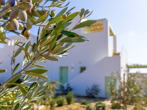Exterior - Plioni- Villas With Private Pool & Suites With Hot Tub (Naxos)