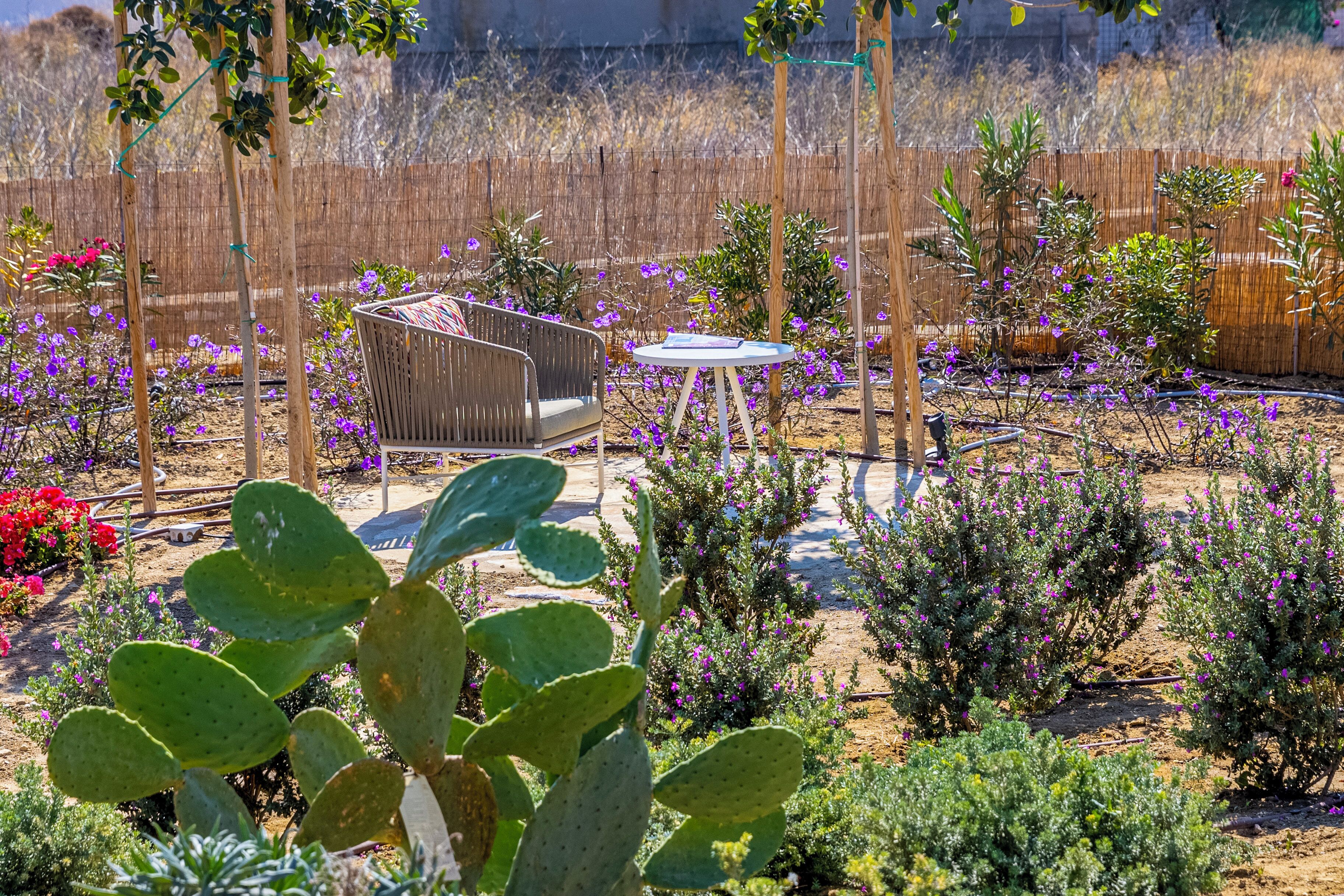 A garden with a wooden bench and a small table, surrounded by various plants and flowers.