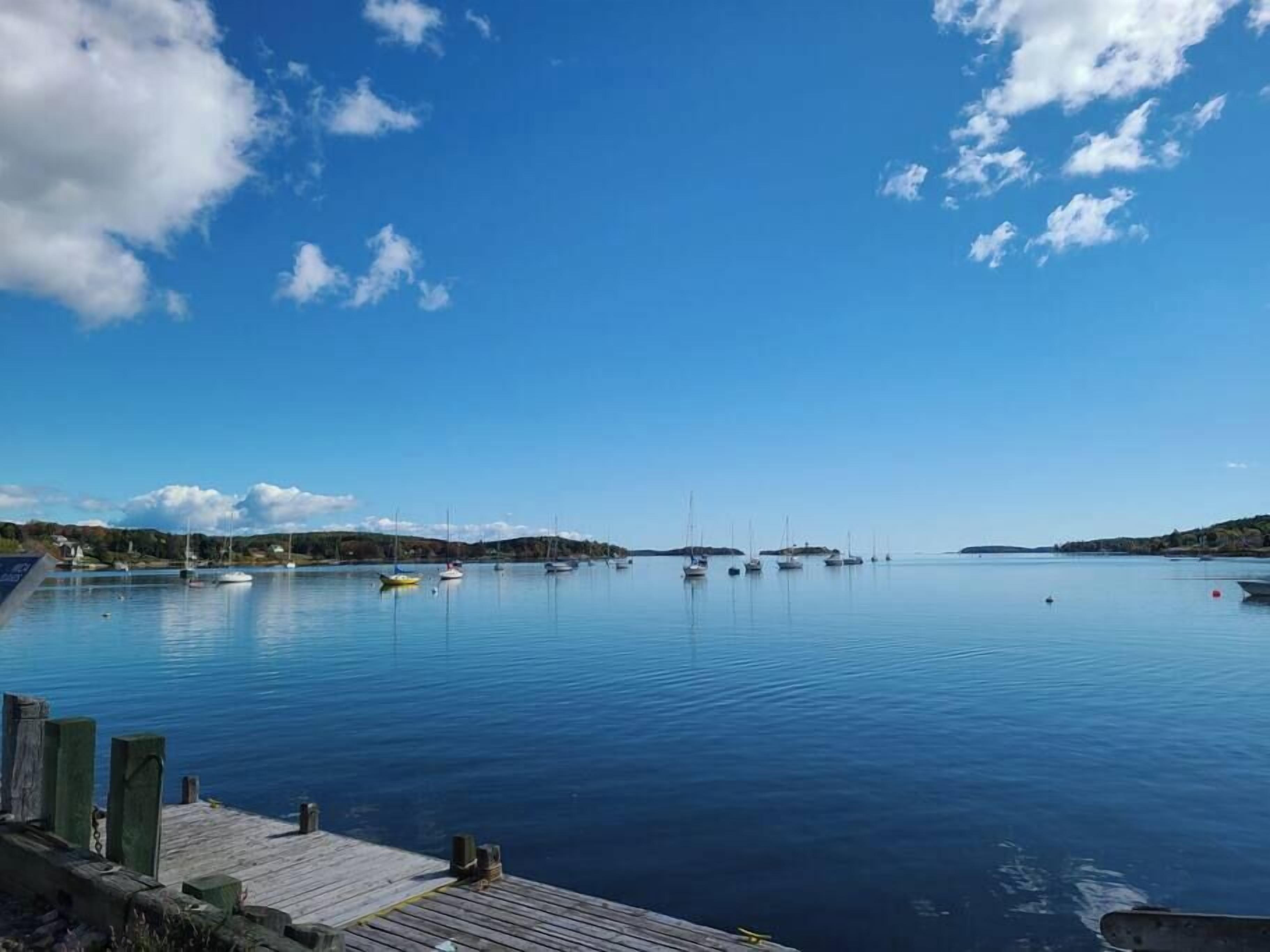 En rolig havn med både, en træbro og en klar blå himmel.