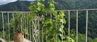 Appartement 35m² Avec Balcon vu sur la Nature !