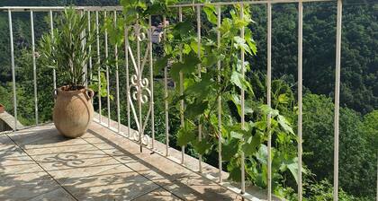 Appartement 35m² Avec Balcon vu sur la Nature !
