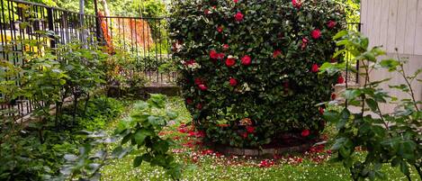 المنطقة المحيطة بالمنشأة