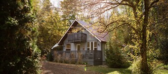 Secluded 3BR Cabin w/Hot Tub and Firepit