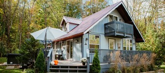 Secluded 3BR Cabin w/Hot Tub and Firepit