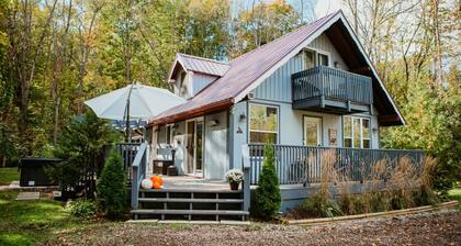 Secluded 3BR Cabin w/Hot Tub and Firepit