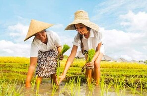 Parco della struttura