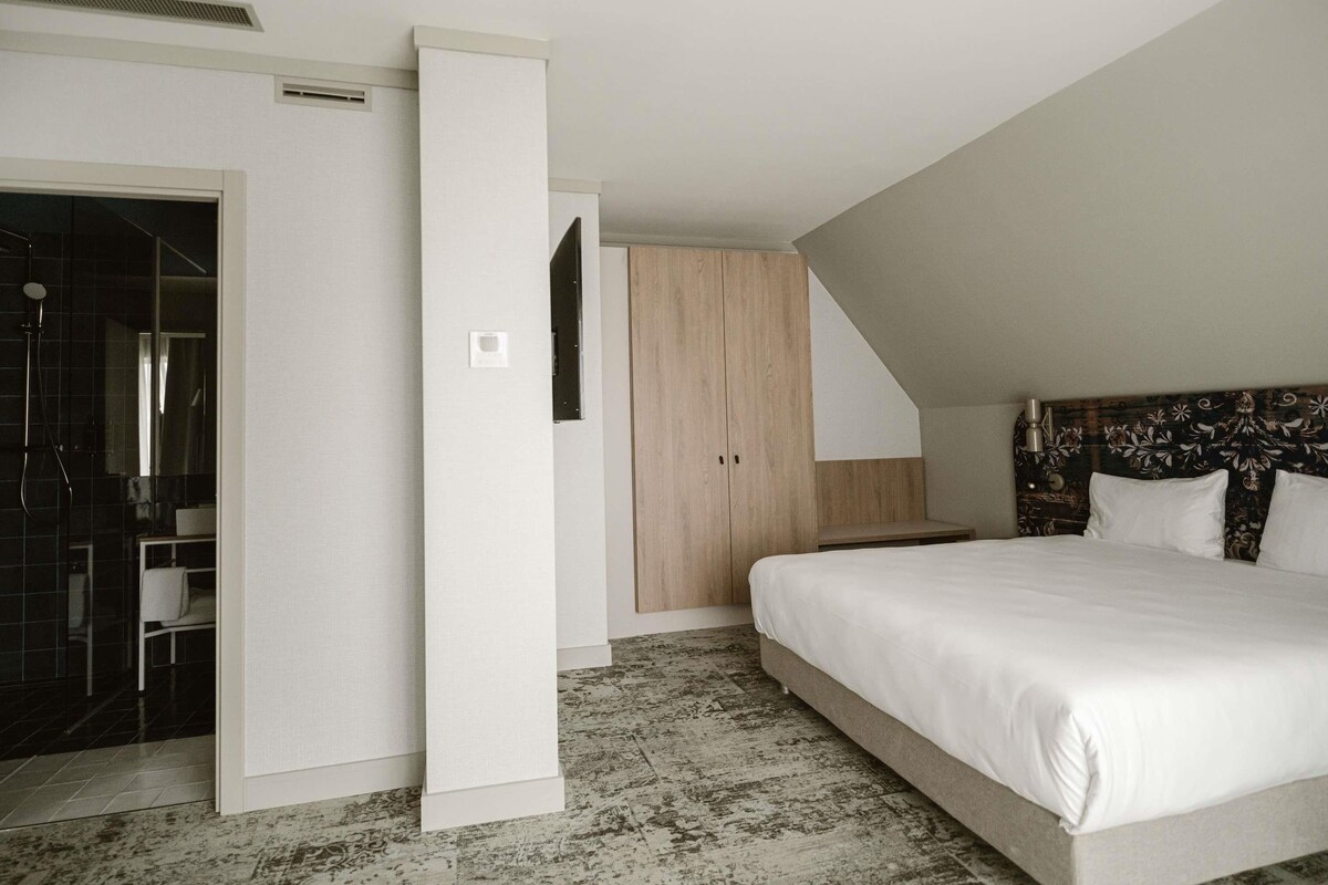 Une chambre à coucher comprenant un lit, une armoire et une salle de bain avec douche.