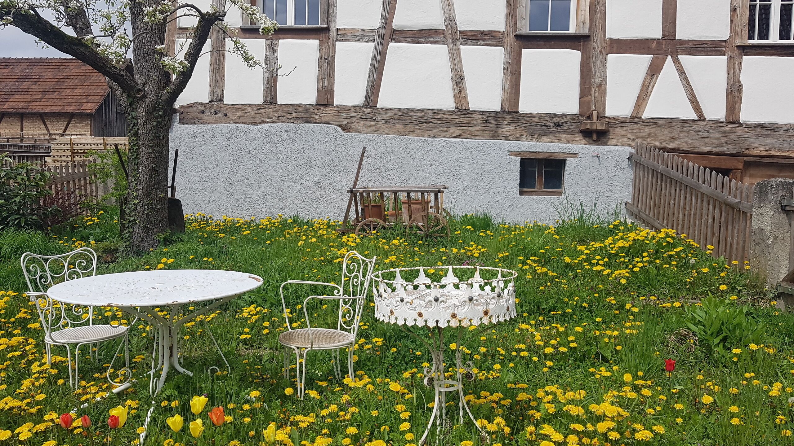 A garden with a white table and chairs, surrounded by yellow flowers and a rustic building with exposed wooden beams.