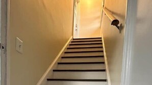 A staircase with white walls and dark steps leading to a door at the top. - Sunny Hilltop 2-BR Top Floor in Arlington (Arlington)