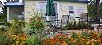 6 Little Yellow Cottages in Downtown Port Austin