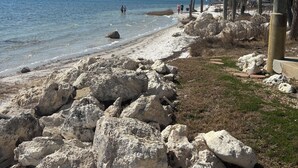 A rocky beach with palm trees and a wooden structure. - Just Like Heaven - Beachfront (Crawfordville)