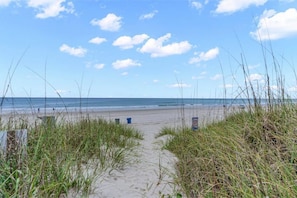 Walk along the beachside path surrounded by tall grasses and a clear sky.
