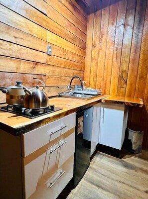 Fridge, microwave, dishwasher, paper towels