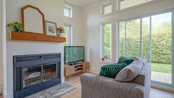Smart TV, chimenea, libros