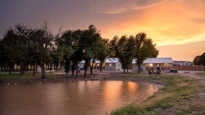 Een rustige oever met een rij gebouwen, waarschijnlijk een hotel of resort, met kalm water en bomen.